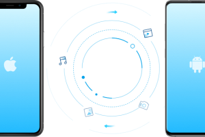 How to Transfer WhatsApp To A New Phone