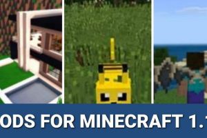 Download the best mods for Minecraft PE 1