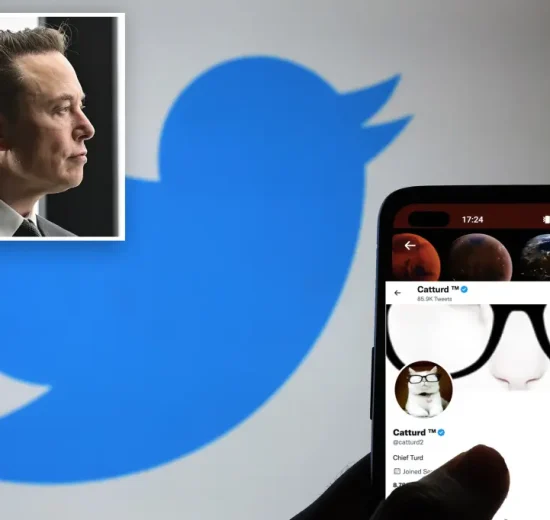 Catturd Twitter