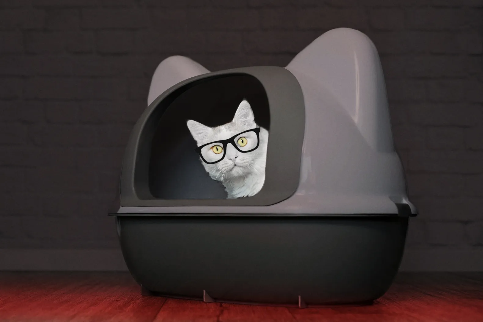 Catturd Twitter