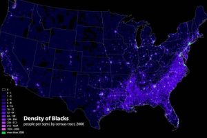 What Percentage of the World Is Black