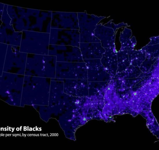 What Percentage of the World Is Black