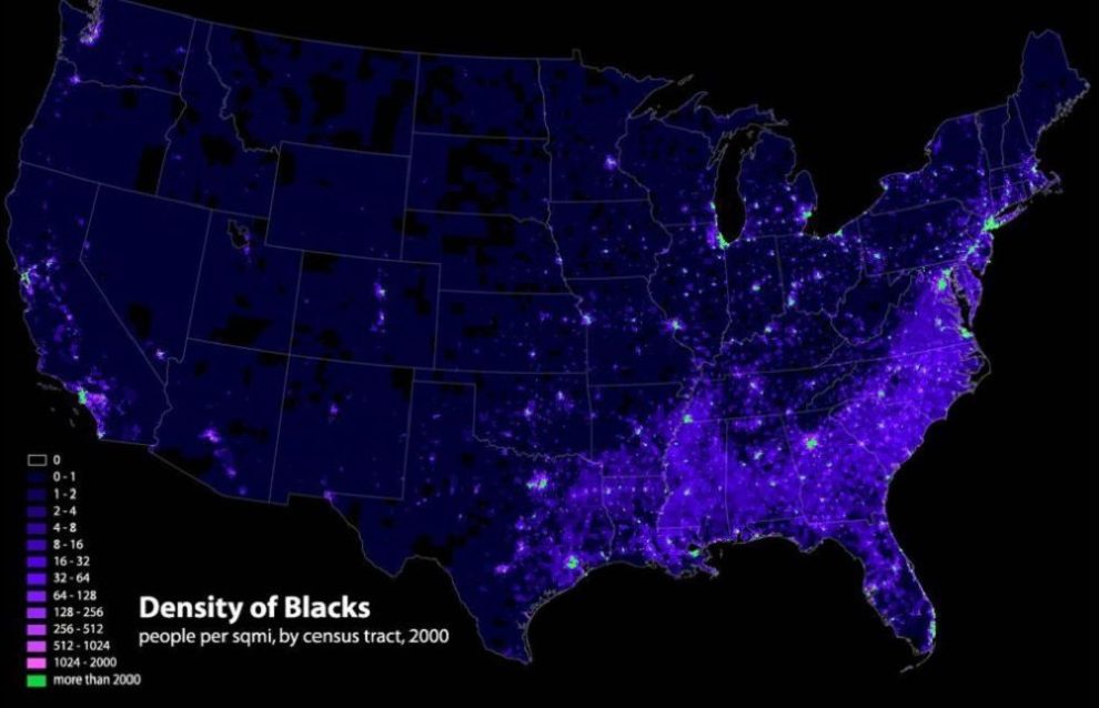 What Percentage of the World Is Black