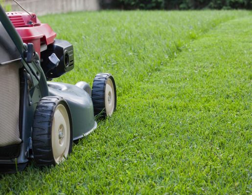 How to Start a Lawn Care Business in 2026: A Step-by-Step Guide (With Real Costs)