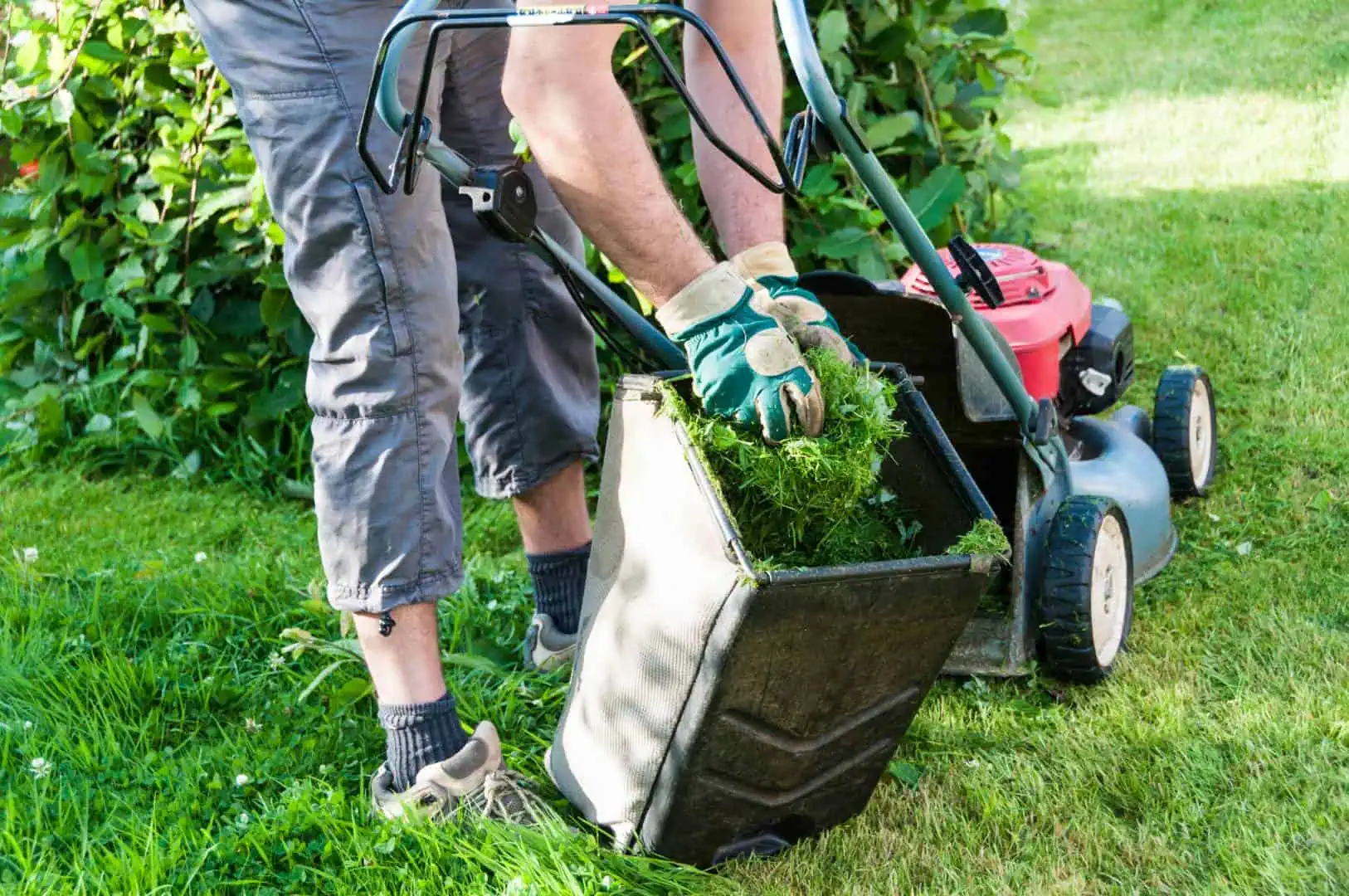 How to Start a Lawn Care Business in 2026: A Step-by-Step Guide (With Real Costs)